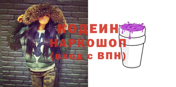 прущий лед Новозыбков